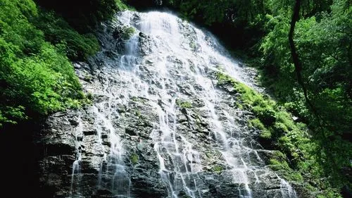 高效智能高性能